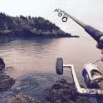 florida Fishing