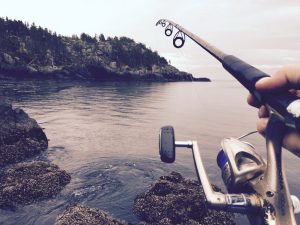 florida Fishing