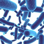 probiotics