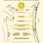 PARALLEL BETWEEN SKIN AND THE EARTH'S SKIN FINAL MODALICIA