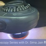 vessel morphologies