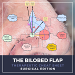 BILOBED FLAP